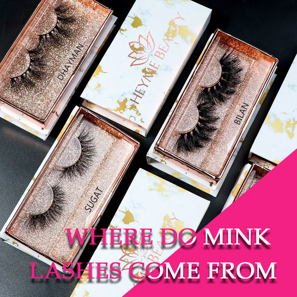 where do mink lashes come from