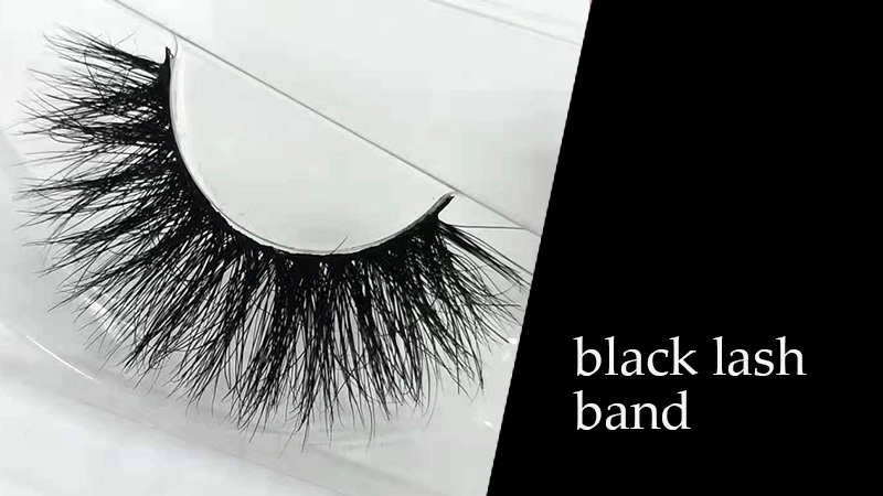 black lash band