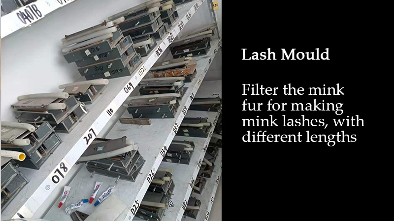 lash mold