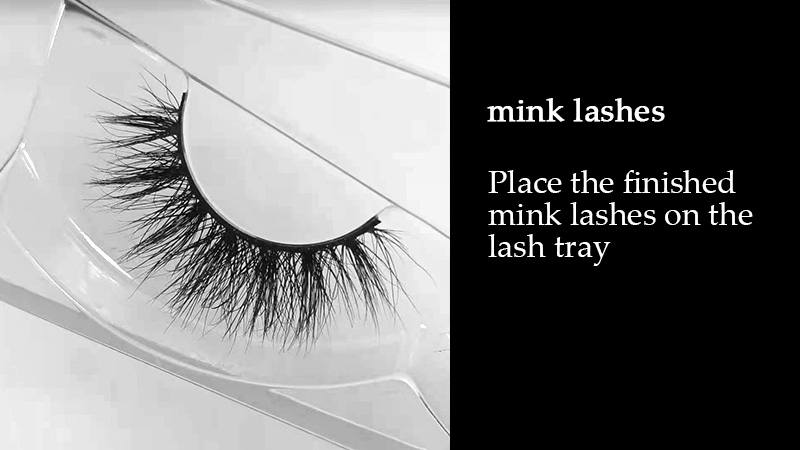 mink lashes with lash tray