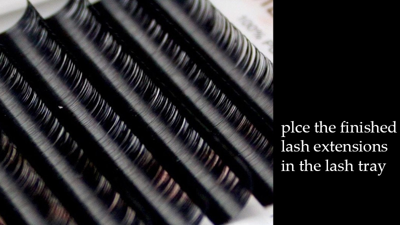 place the lash extension in the lash tray