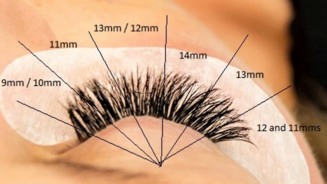 how to map lash extensions