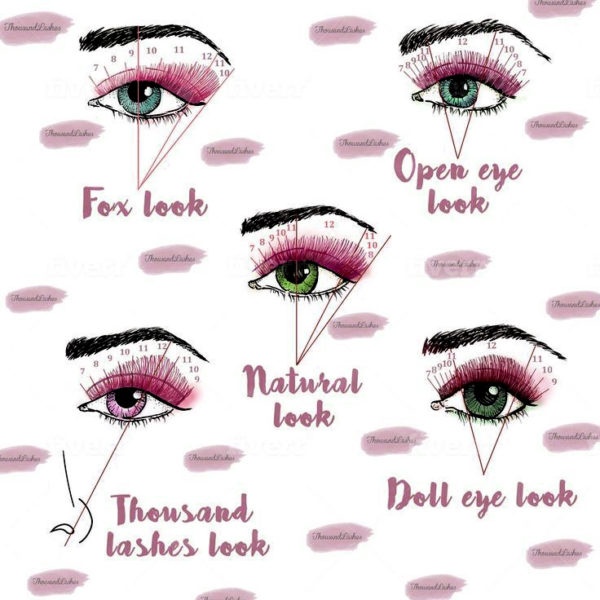 Lash Map Ultimate Guide About Lash Extension Map For Beginners