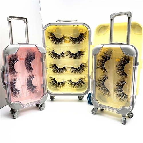 suitcase lash packaging