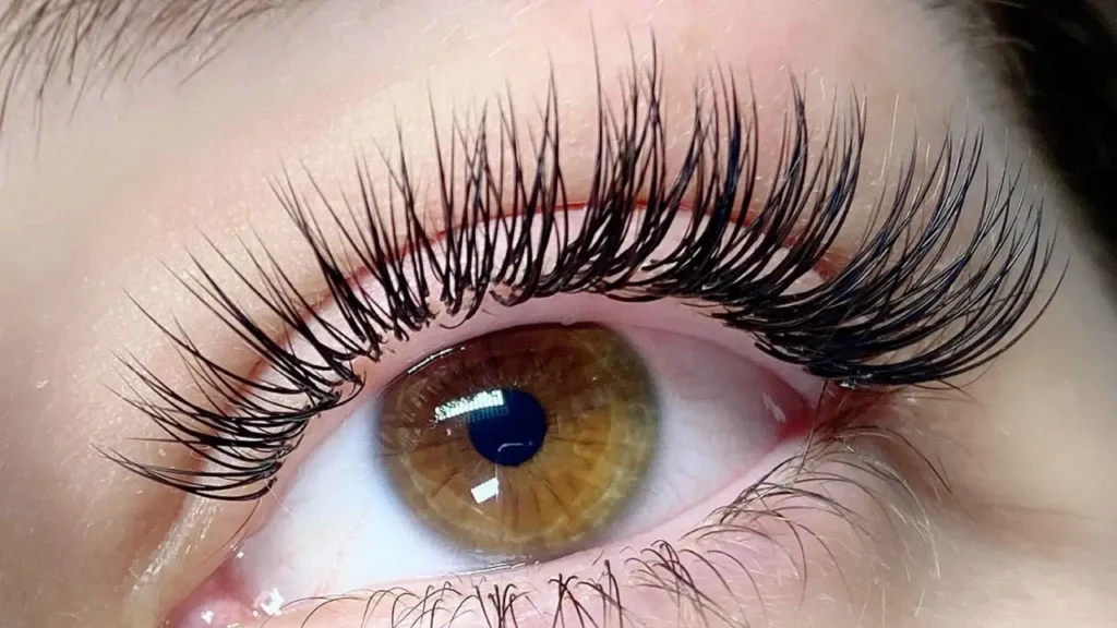 classic lash extensions