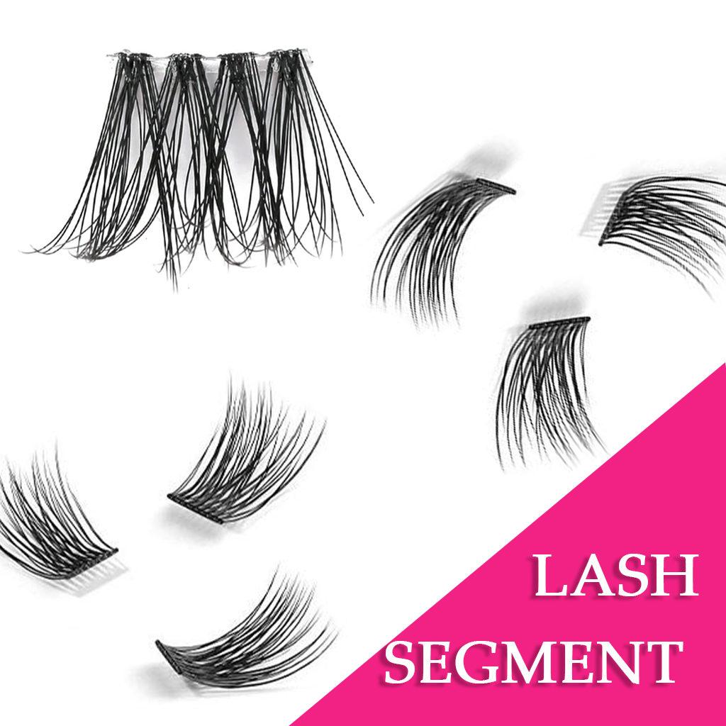 lash segment