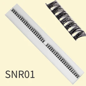 lash cluster snr01