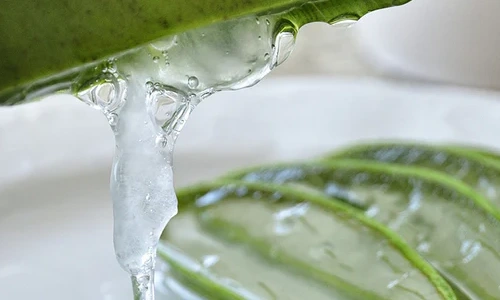 Aloe Vera Gel