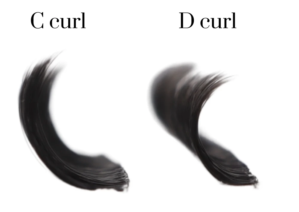 D Curl Lashes vs C Curl