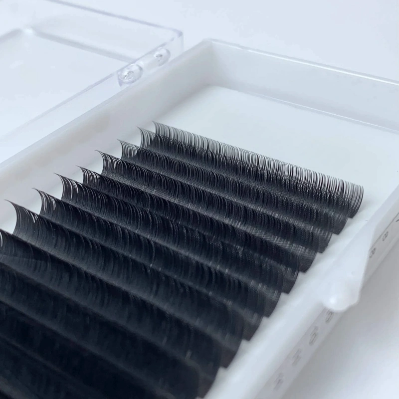 D Curl Volume Lashes