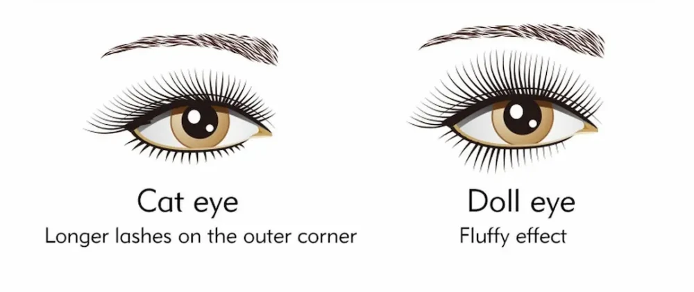 Doll Eye vs Cat Eye Lashes