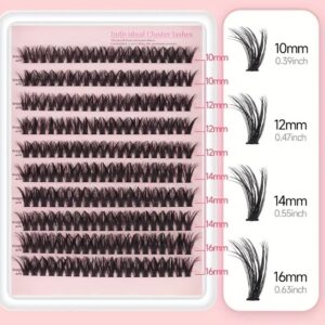 Fluffy Volume Cluster Lashes (1)