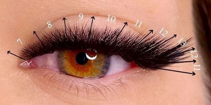 How to Apply M Curl Lashes