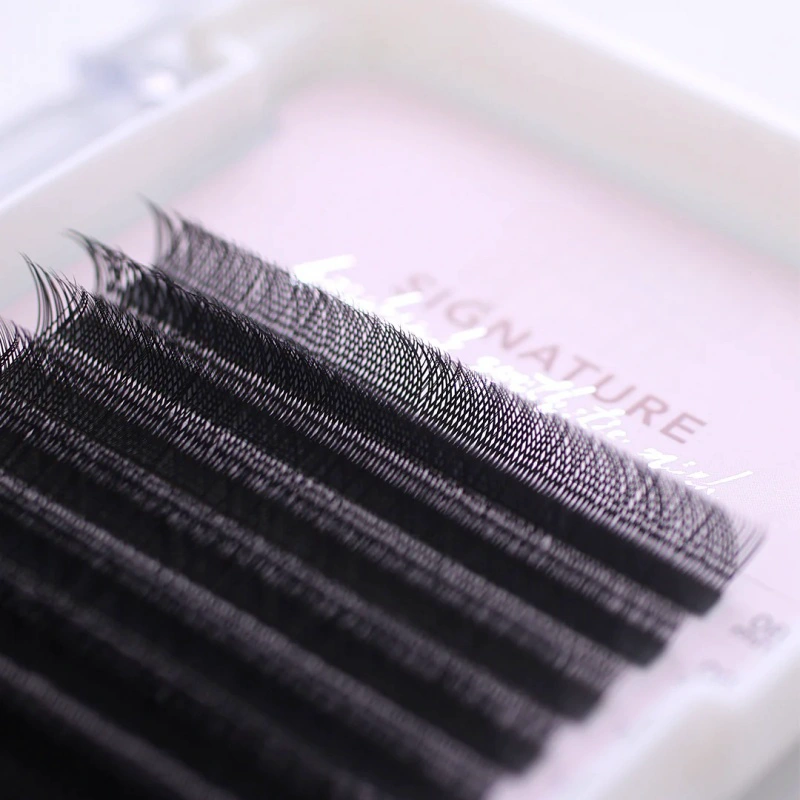 Hybrid D Curl Lashes