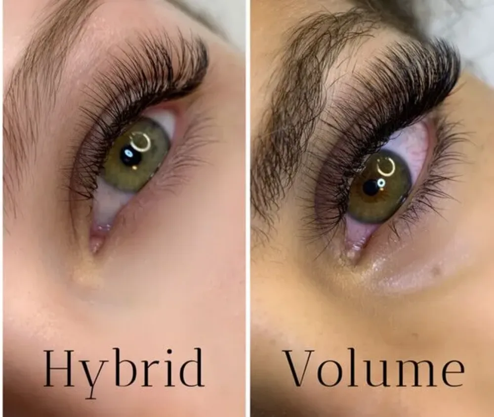 Hybrid vs Volume Lashes