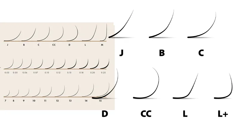 Lash Curl Types