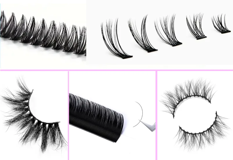 Types of Lashes