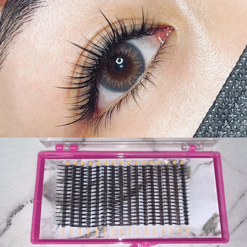 Wispy Manga Lash Extensions