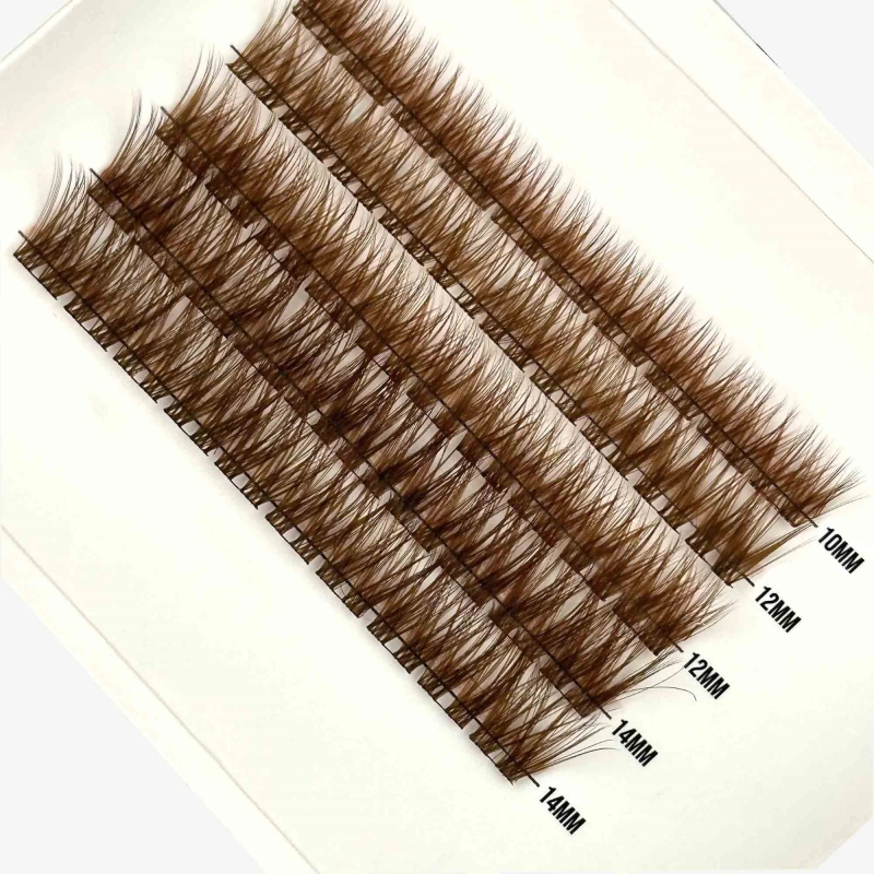 brown cluster lashes