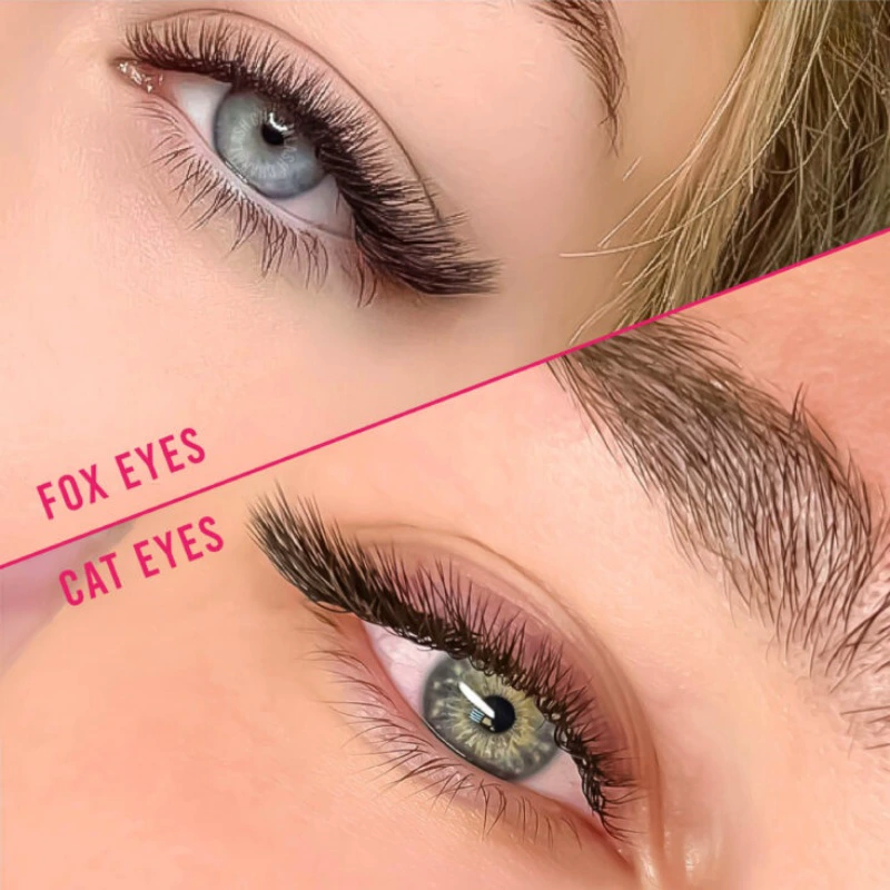 cat eye vs fox eye lashes