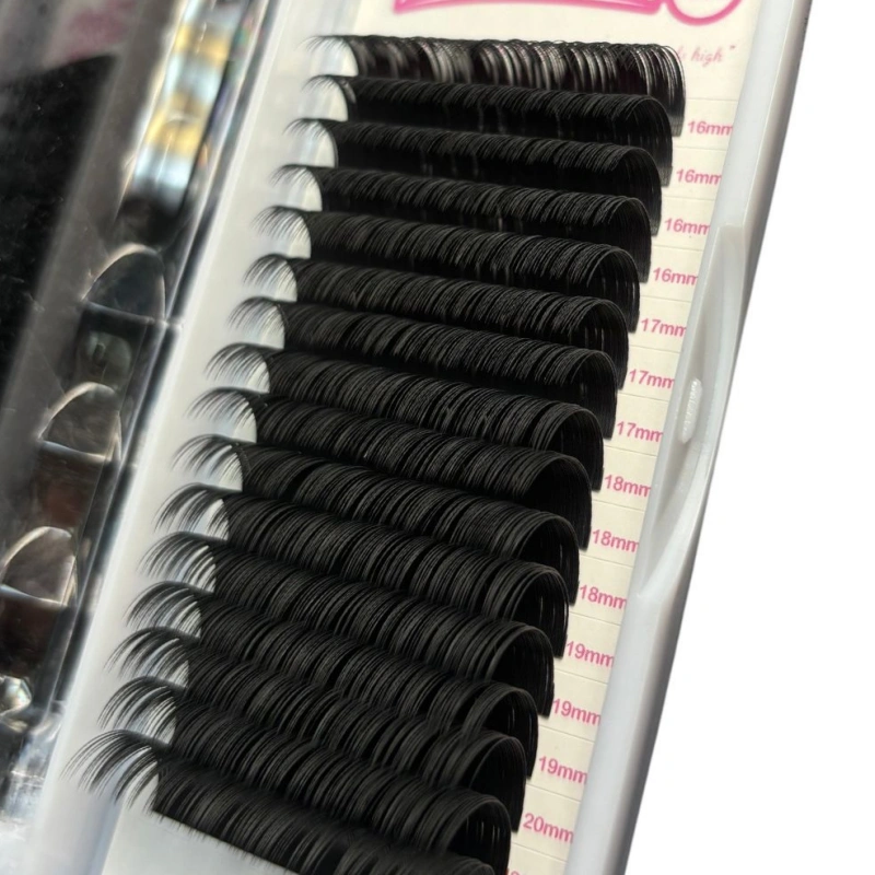 classic d curl lashes