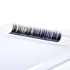 classic lashes mixed tray