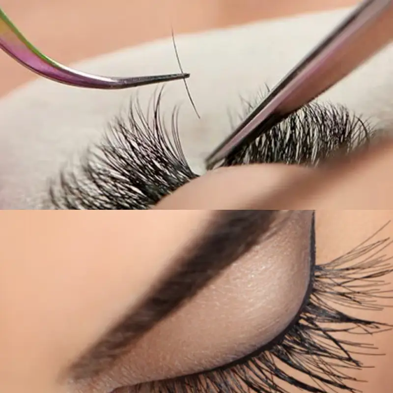 cluster vs single lashes