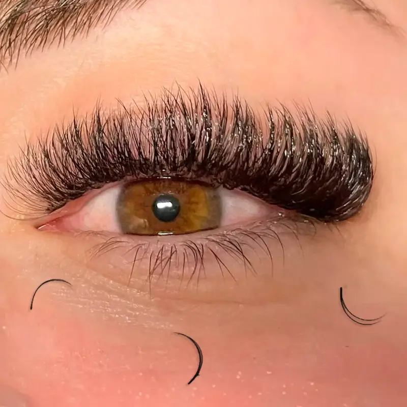 how many lash extensions fall out a day