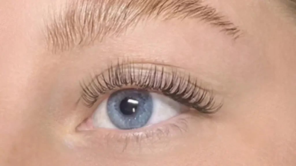 how to grow lashes back after extensions