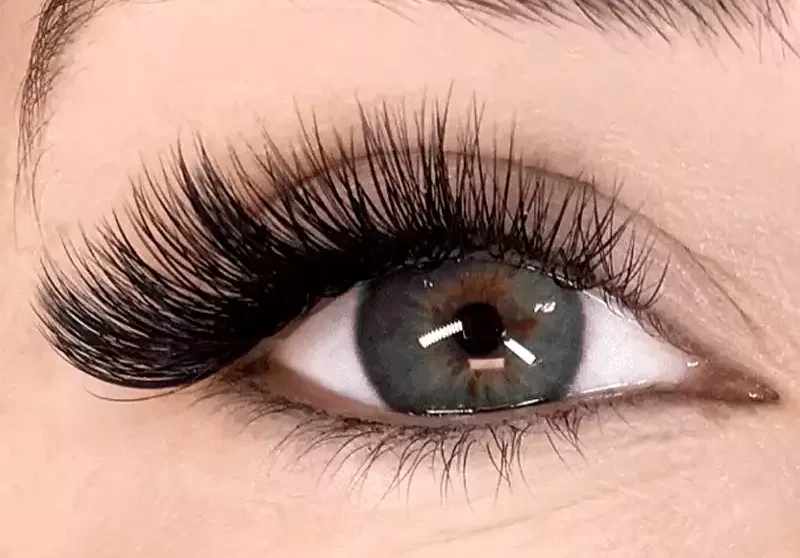 volume lashes extensions