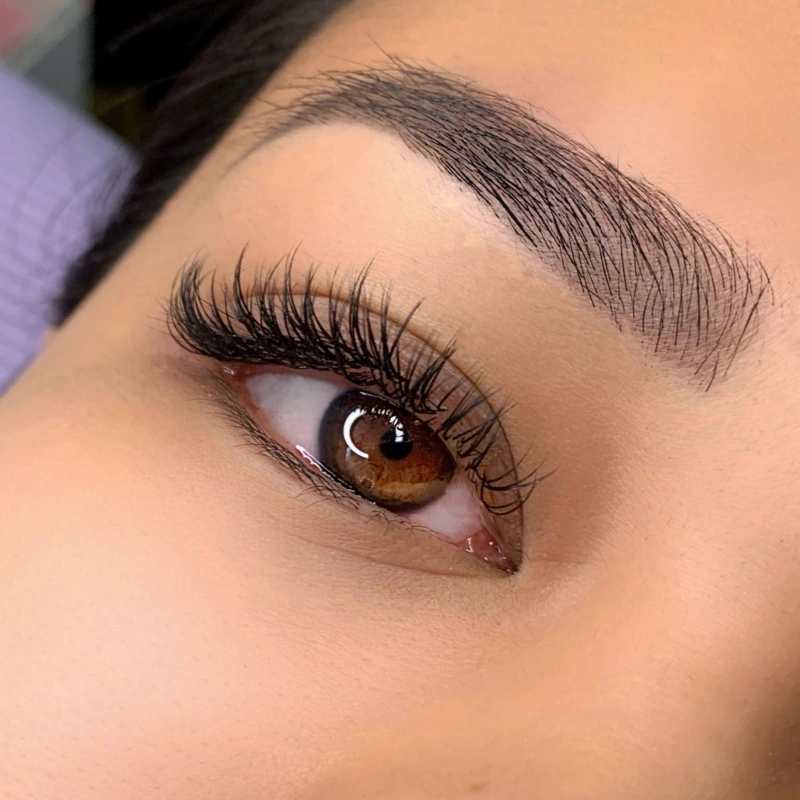 what is wispy lash extensions