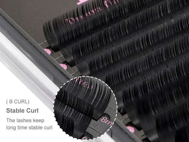 B Curl Volume Lashes