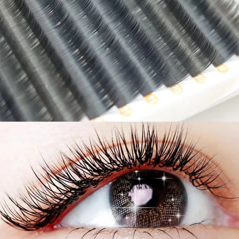 Cashmere Ellipse Lashes