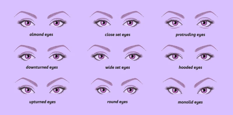 Choosing the Right Lash Thickness for Different Eye Shapes