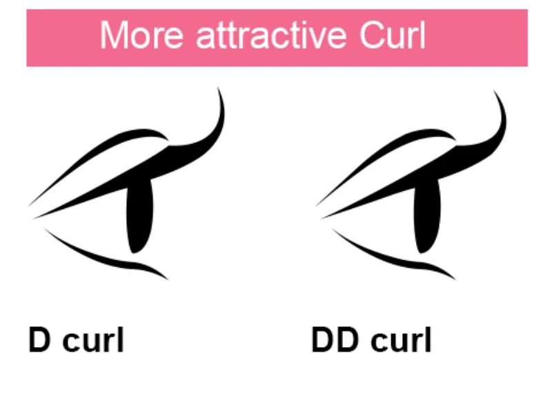 Dd Curl Lashes vs D Curl