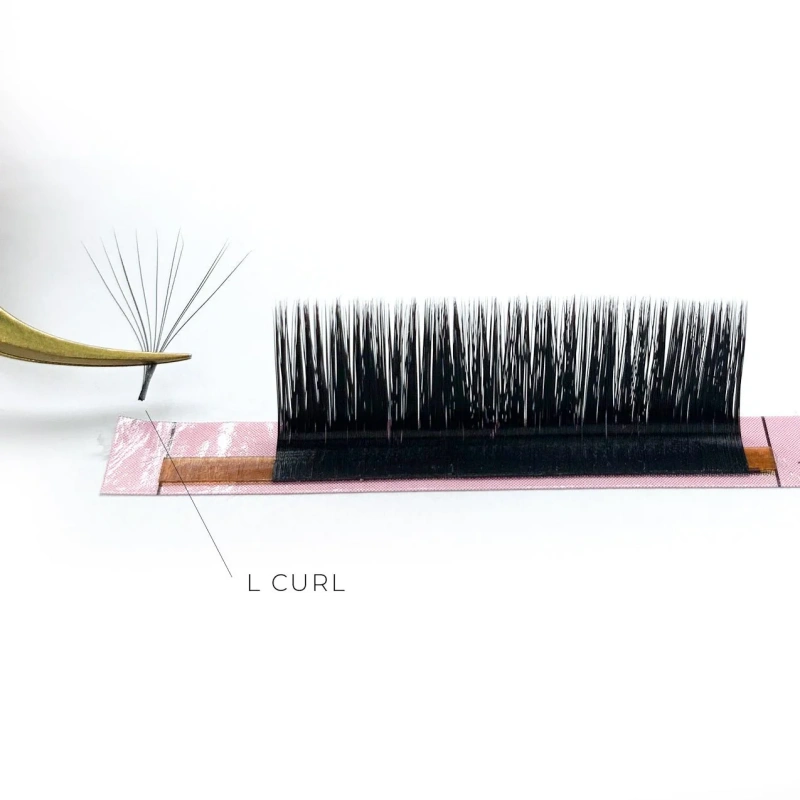 Easy Fan L Curl Lashes