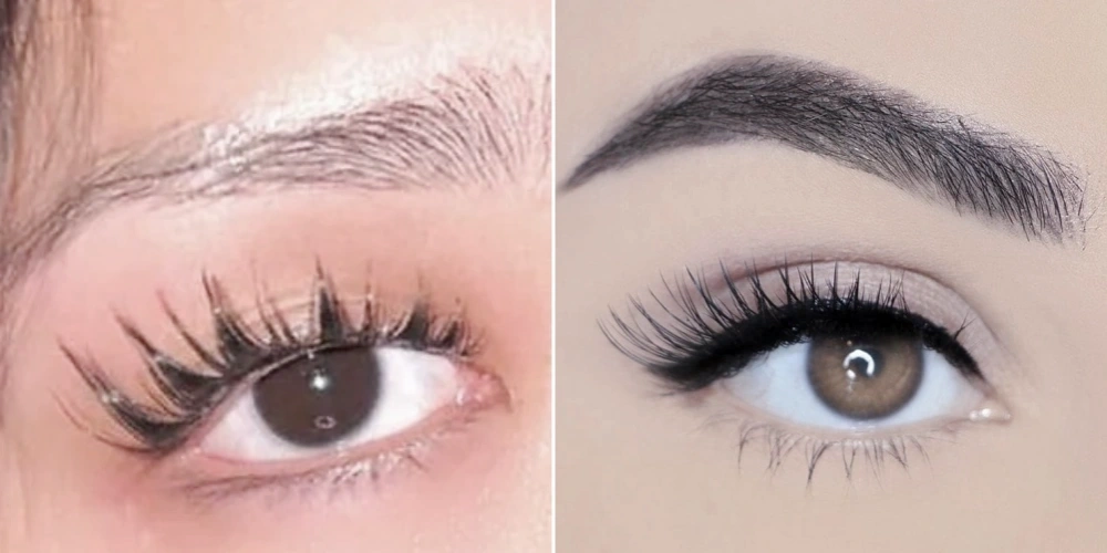 Fairy Lashes vs Regular Lashes