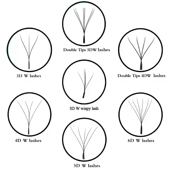 The Different Types of W Lashes