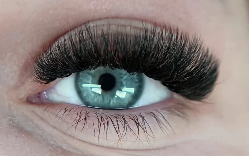 Volume Lashes