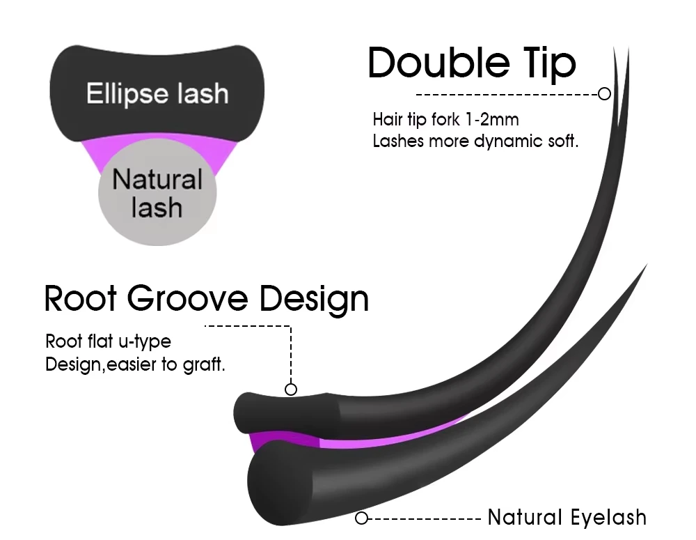 What Are Ellipse Lashes