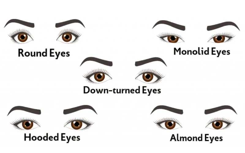 What Eye Shapes Are Suitable for L Curl