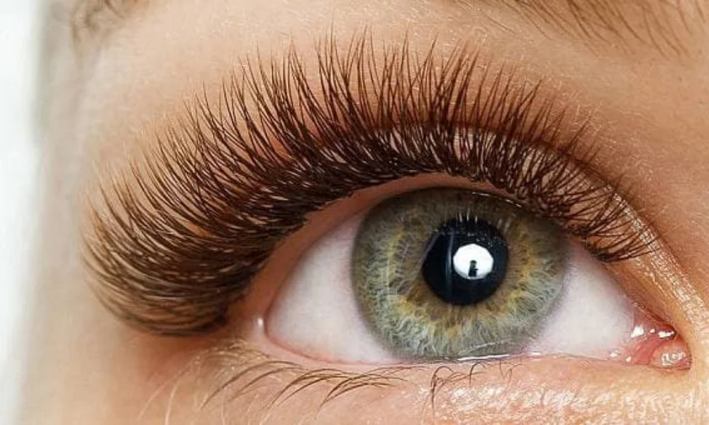 What is Brown Lash Extensions