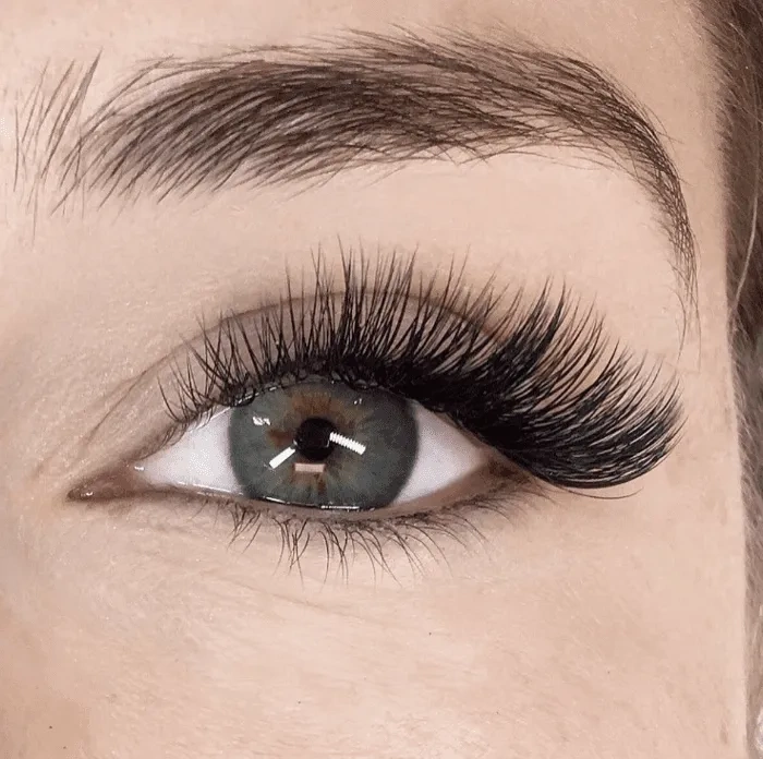 cat eyelash extensions volume d curl