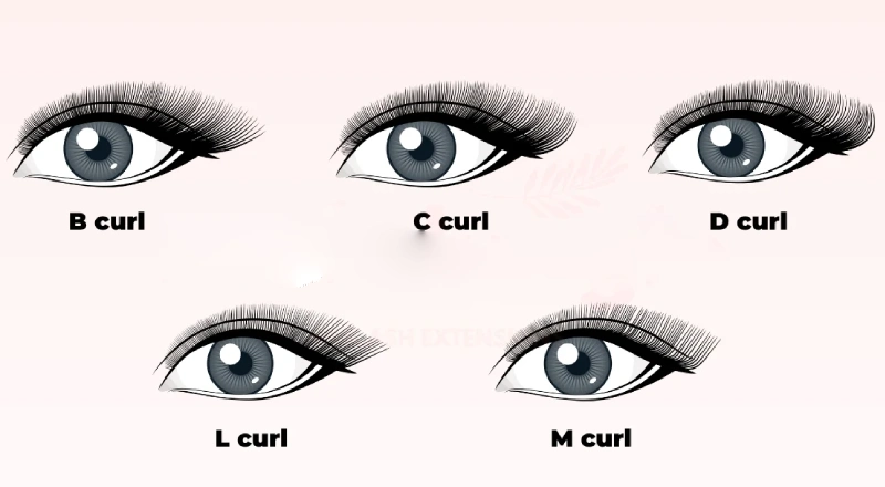 choosing the right lash extension curl type