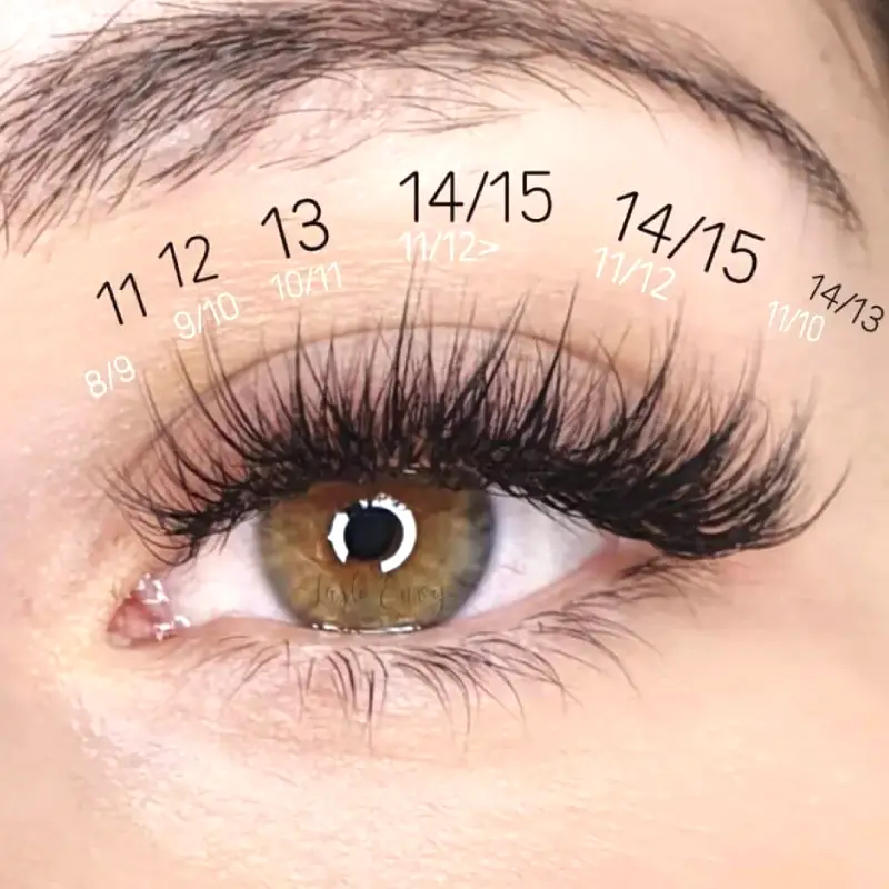 classic wispy cat eye lash extensions