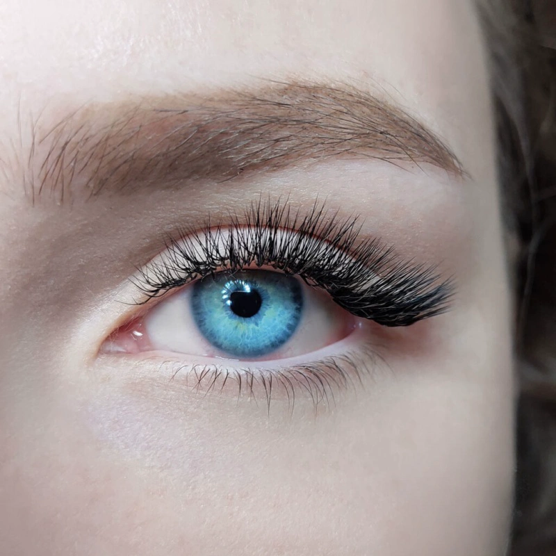 what are silk lash extensions