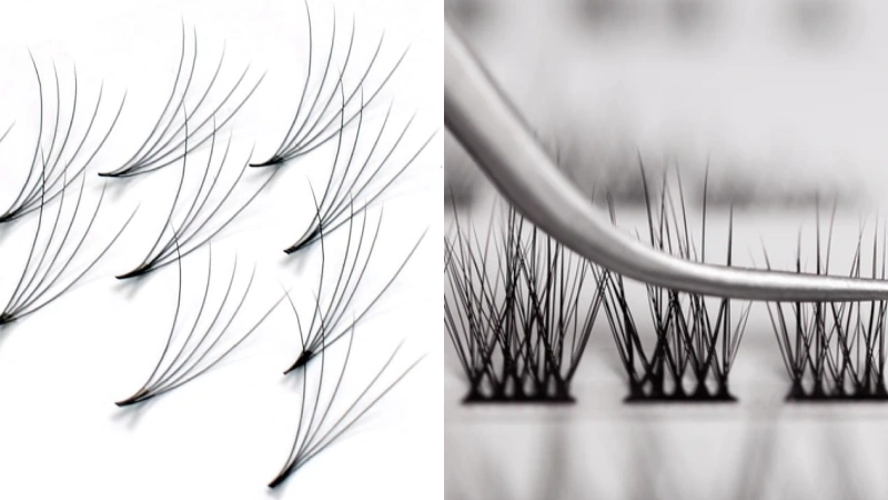 lash fans vs lash clusters