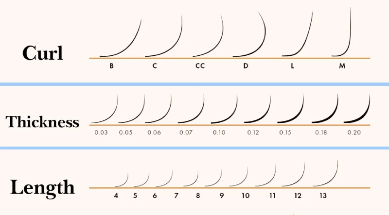lash thickness