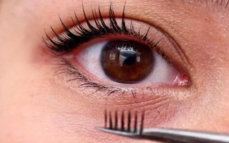 how long does a lash tint last