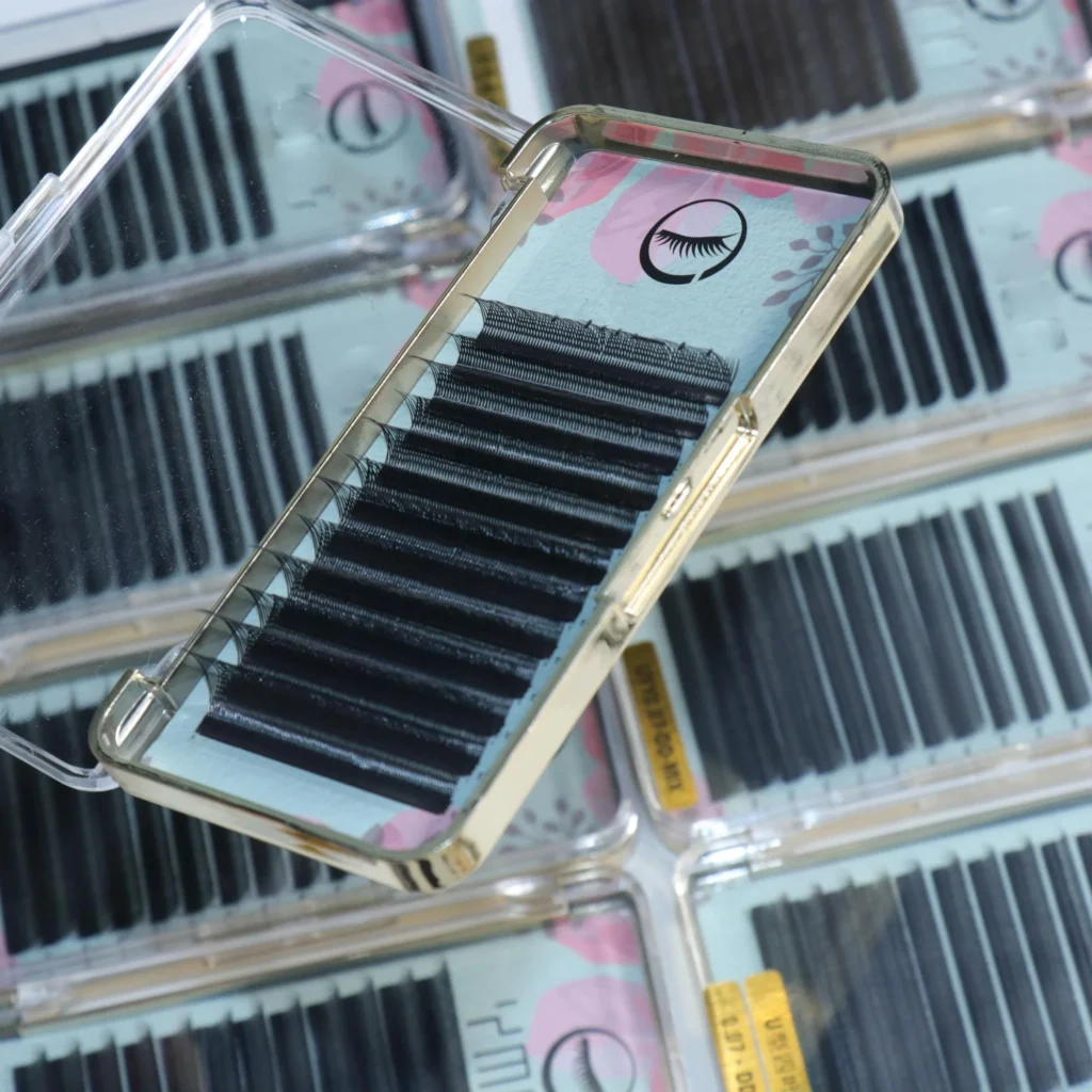 Eyelash Extensions (2)